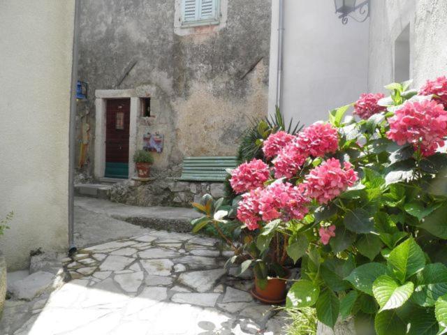 Apartman Dejo Mošćenička Draga エクステリア 写真